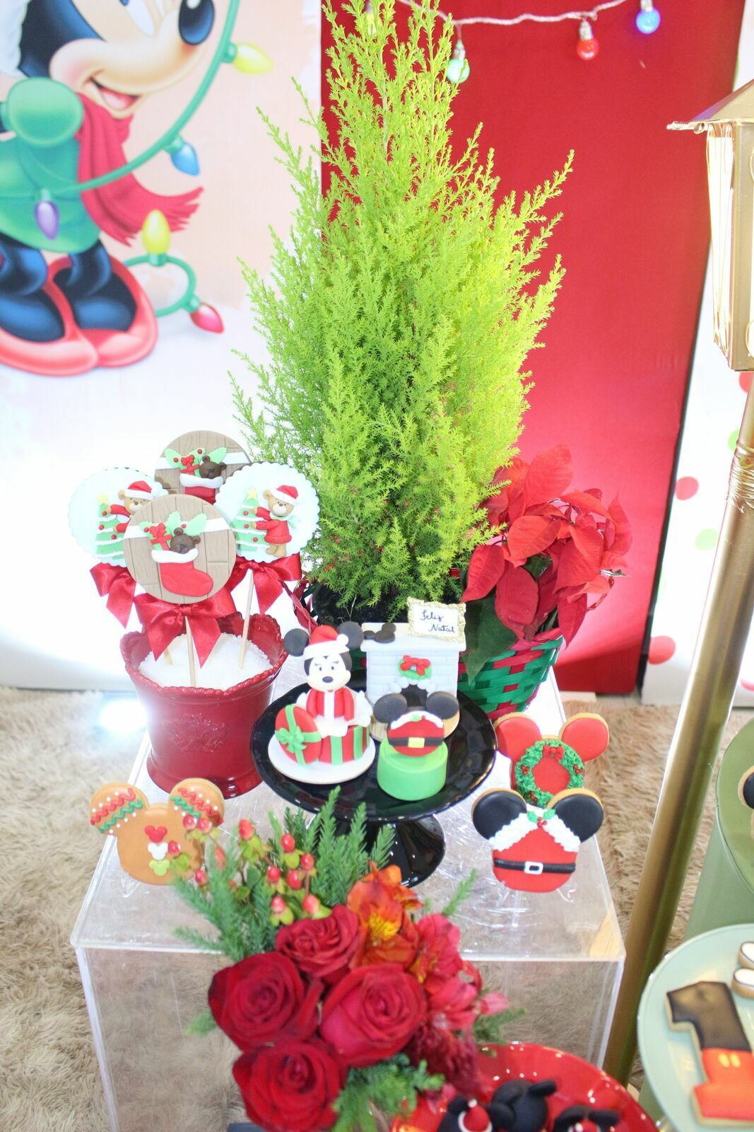 Foto Gabriel 1 - Mickey no Natal - SPLASH Buffet - Imagem 4